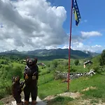 Papa Bear Bjelasnica *