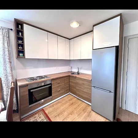 Papa Bear Bjelasnica Willa Trnovo