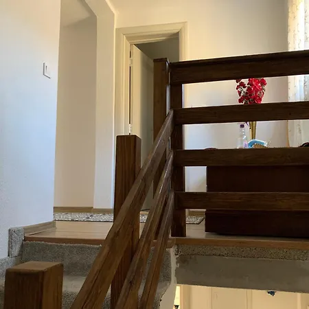 Papa Bear Bjelasnica *