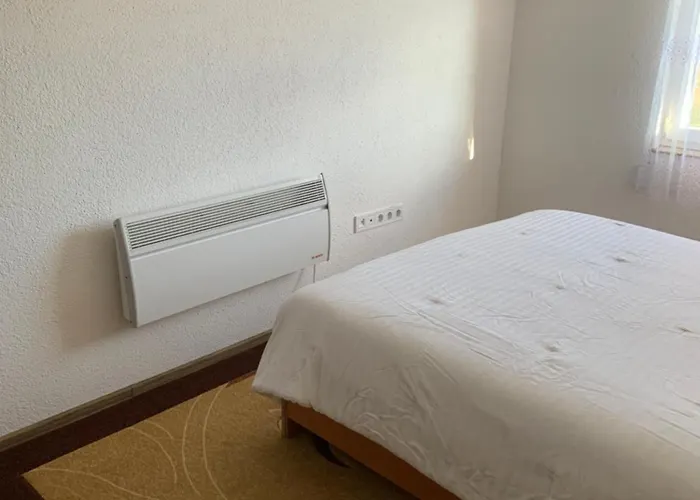 فيلة Papa Bear Bjelasnica *